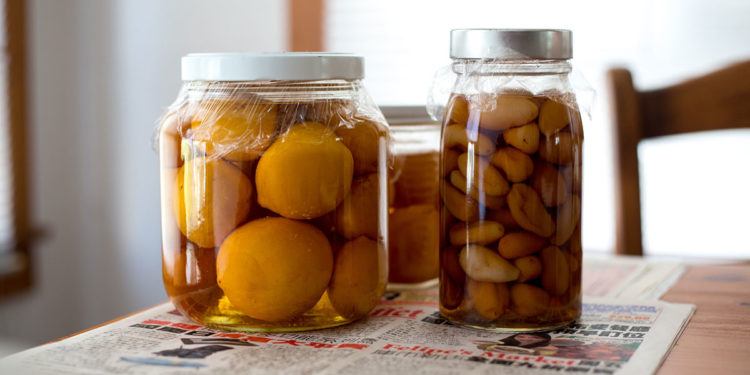 Reliable Home Food Preservation Videos Now Available on New Website