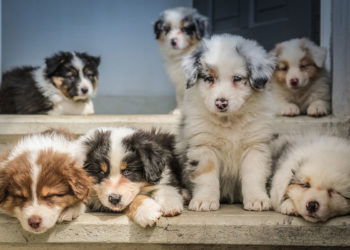 What Happened to Me Could Very Well Happen to You