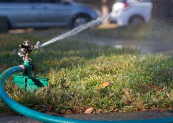 Sustainable Solano Offers Water Wisdom Talk and Video Garden Tour