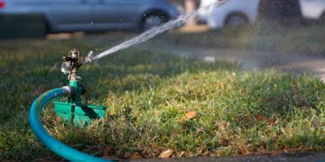 Sustainable Solano Offers Water Wisdom Talk and Video Garden Tour