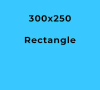 Rectangle – 300×250 Pixels