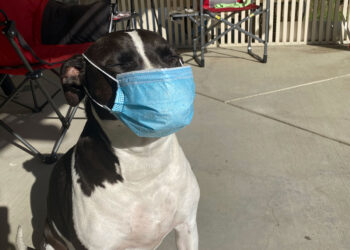 Booger Shelters in Place