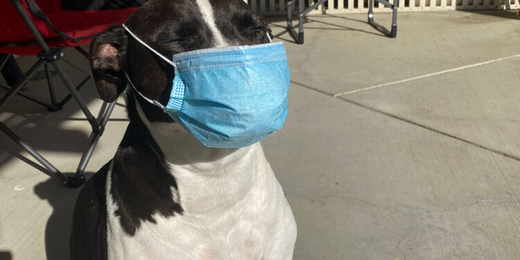 Booger Shelters in Place