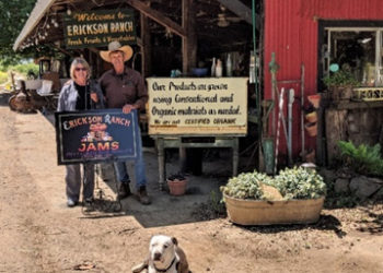 A Jam for All Seasons