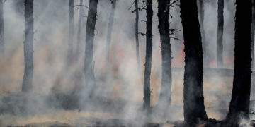 Sen. Dodd’s ‘Hi-Lo’ Evacuation Warning Bill Advances