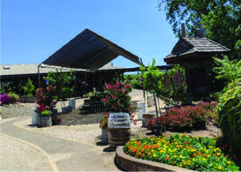 14 Acres of Hidden Wonder