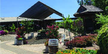 14 Acres of Hidden Wonder