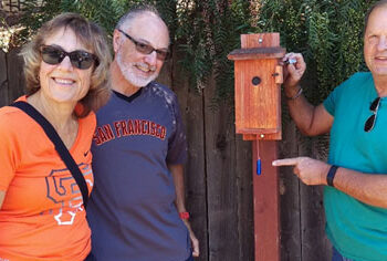 Who Wants Some Cache?