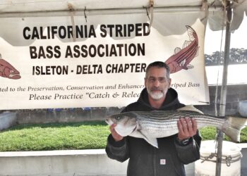 Bass Are Jumpin in 2021