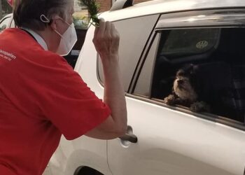 Drive your Pets to Get A Blessing Sunday October 3