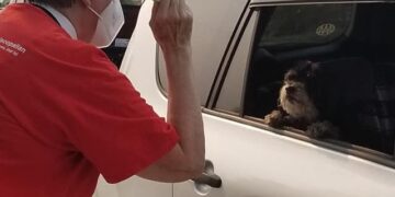 Drive your Pets to Get A Blessing Sunday October 3