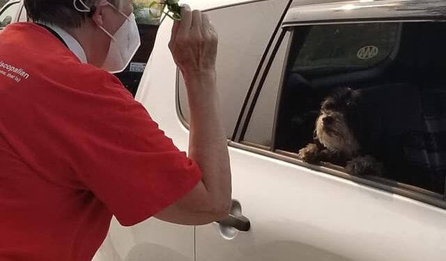 Drive your Pets to Get A Blessing Sunday October 3