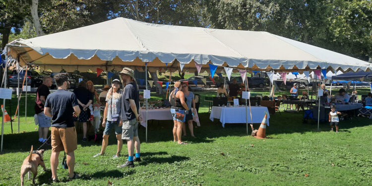 Sunday Market’s Harvest Market Re-Scheduled for October 31