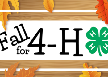 Fall for 4-H!