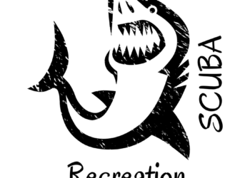 Turning a Vision into a Dream