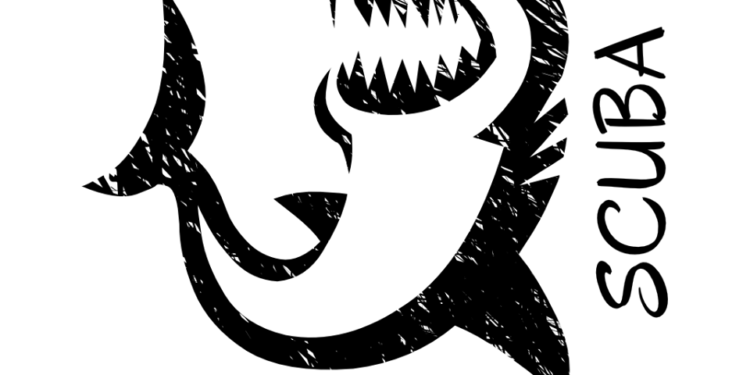 Turning a Vision into a Dream