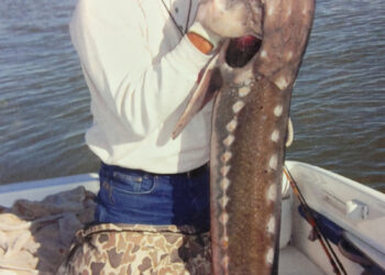 Carlton the King of The Bass Derby