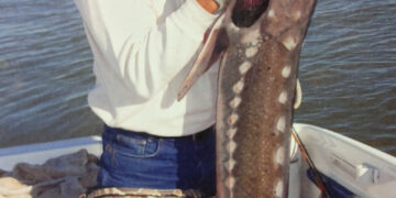 Carlton the King of The Bass Derby