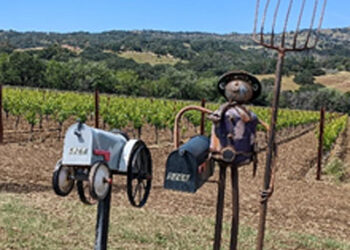 Glashoff Sculpture Ranch