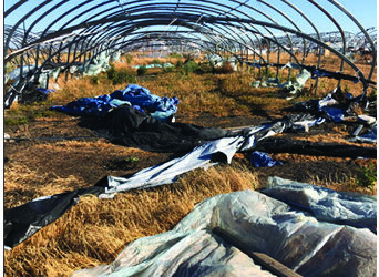 We Haul It All- Ready to Serve You!