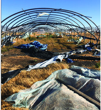 We Haul It All- Ready to Serve You!