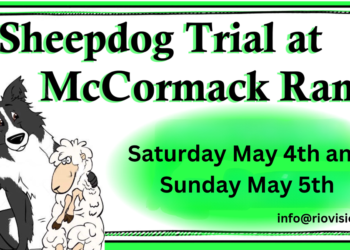 They’re Baa-baa-back!