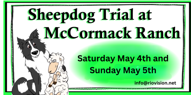 They’re Baa-baa-back!