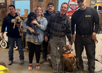 A Customer’s Journey to Running the Show!