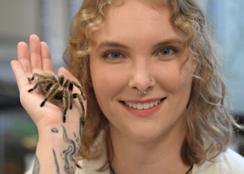 Bohart Museum to Celebrate Eight-Legged Encounters