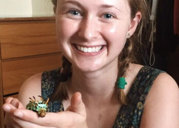 UC Davis Picnic Day: Where Bugs Are Invited