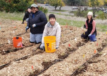 Solano RCD Invites Solano County Youth Groups to Participate in Free Volunteer & Environmental Education Days Supporting Post Wildfire Habitat Restoration at Lake Solano