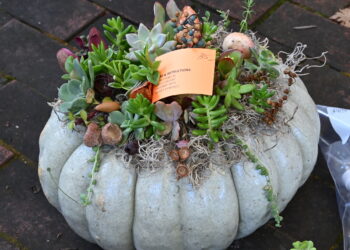 Arts and Crafts Fair Oct. 17 in Vacaville Museum Courtyard