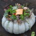 Arts and Crafts Fair Oct. 17 in Vacaville Museum Courtyard